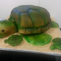 Turtle Made From 8 Round Cake For A Babys 1 Year Old Birthday Party Turtle made from 8" round cake. For a baby's 1 year old birthday party.