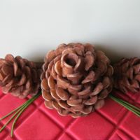 Carolina Christmas