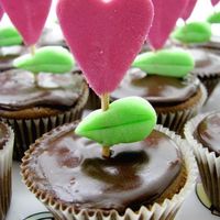 Growing Your Love made these awhile ago but thought they would be good for valentines day :)