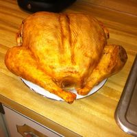 My First Turkey Cake Lots Of Fun My first Turkey Cake. Lots of fun!