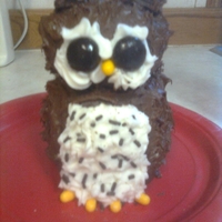 Owl Cake I made this "smash" cake for my grandsons 1st birthday. The theme of his party was woodland critters
