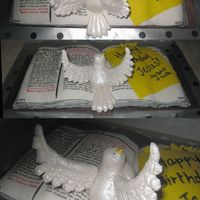 Bible And Dove Cake This is a cake I did for my brother's Bible study group. It was on Christmas and his ministry is called the Spirit of Truth. The red...