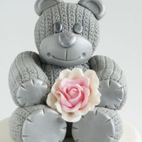 Dear Teddy