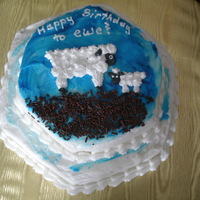 Have A Happy Baaaarthday! I made this cake for my dad's cousin's 55th birthday, as he's a sheep rancher. :) It was one of the easiest cakes I've...