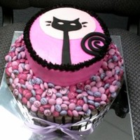 Hannah's Cat/kit Kat Birthday Cake 9 inch choc cake with choco icing and 6 inch WASC with buttercream icing. This little girl turning 9 loves cats and always has a cat of...