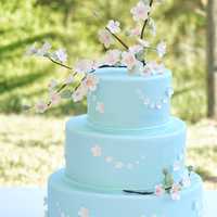 Cherry Blossom Wedding Cake Fondant covered. Handmade cherry blossom branches. I'm glad the photos don't show the imperfections! My niece was thrilled! Thank...