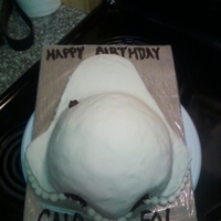 My Bro Nose I Love Him