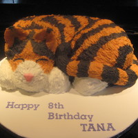 3D Cat 3D cat cake carved from two 9x13 confetti cakes and covered in buttercream.