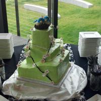 Love Bird & Cherry Blossom Cake Cherry blossoms and birds were made from gumpaste. Nest was made from modeling chocolate. White cake throughout with different fillings and...