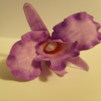 Purple Orchid Purple Orchid, gum paste