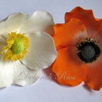 Flowers Sugar anemones