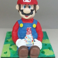 Mario Chocolate cake with a chocolate filling.Some rice crispy !Thanks for viewing!