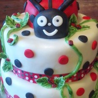 Lady Bugs! Lady Bug Cake!