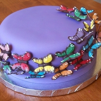 Butterfly Cake 