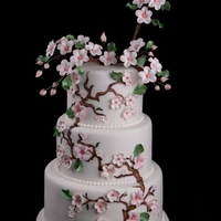 Asian Themed Cherry Blossom Wedding Cake The couple really wanted something different and just loves cherry blossoms. I hand painted the branches and then extended them as the...