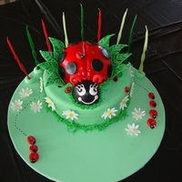 Ladybug Cake Ladybug cake I made for my Granddaughter for her 9th birthday.
