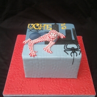Spiderman Cake Spiderman cake for sons 5th birthday party. Original cake was made by agua 70 seen here on CC. TFL