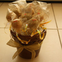 39895 102271103162846 100001398696569 15463 6865265 N 