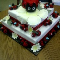 Lady Bug Cake 