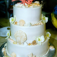 Seashell Wedding Cake 