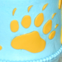 Ucla Bruins