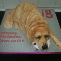 Golden Retriever Dog Cake golden retriever dog cake