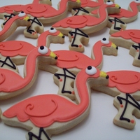 We Were Flocked!