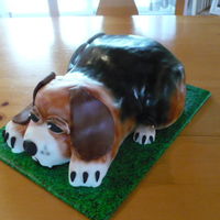 Airbrushed Beagle Dog Cake Started with 3 13X9 layers, and carved out the entire shape. Only the back paws were solid fondant. Added brown and black airbrush and...