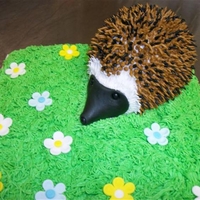Headge Hog Cake White cake with chocolate headge hog