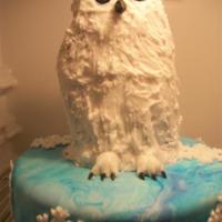 Owl Birthday Cake Snowy owl birthday cake. Bottom is wt cake fondant covered. top is carved chocolate cake covered in buttercream icing