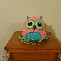 Owl Smash Cake smash cake for my great niece's first birthday. When my niece said she wanted teal, pink and green my first thought was " how do...