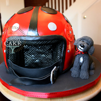 Lady Bug Helmet And Cole The Poodle For my friend Leanne's birthday. This is her Vespa helmet and her puppy Cole. The cake was dark chocolate with homemade raspberry...