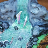 Spawning Salmon Stream 