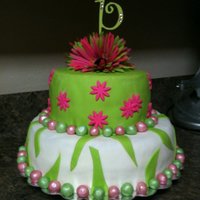 Green Zebra 2 Tier Green Zebra; MMF