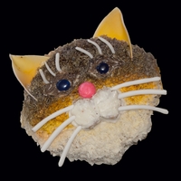 Cat Face Face was inspired by a planter from Stein's Garden & Gifts for a cal lover's bday!