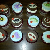 Bugs! Made these for a friend who loves bugs. 100% got the idea from Cute Little Cupcakes but Heidi Stone.