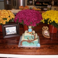 Owl Shower Cake - To Match Invitations Rice Krispy cake made to match the baby shower invitiations that were pictured to the left of the cake. White chocolate icing and a RKT Owl...