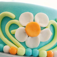 First Time Working With Fondant... Love the way this turned out!My first time working with Fondant.I made MMF and LOVED working with it! So much fun :)Used this cake as an...