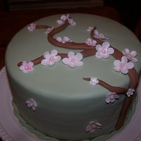 Cherry Blossom Cake Fondant covered lemon cake with my attempt at Cherry Blossoms.