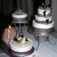 Malone Wedding This was my first wedding cake (2004). Not perfect but the bride and groom loved it.