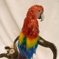 Sugar Macaw This almost life sized macaw is hand pulled and hand sculpted sugar/isomalt and then airbrushed and hand painted on a pulled isomalt vine...