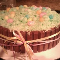 Easter Basket Cake Chocolate cake with peanut butter frosting. I used the kit kats for sides and chocolate eggs and coconut for inside.
