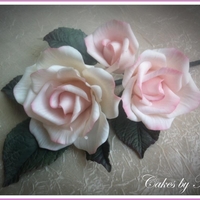 Sugar Roses 