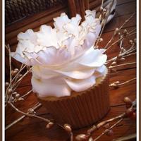 522724 10151578715257650 1733091063 N 