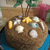 Island Cake 