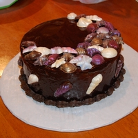 Seashell Ganache Cake Chocolate cake with chocolate ganache glaze and filling and white chocolate shells dusted with luster dust