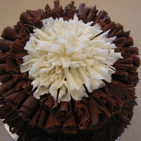 Chocolate Curls Cake Chocolate cake covered with ganache and decorated with white and dark chocolate shaved curls.