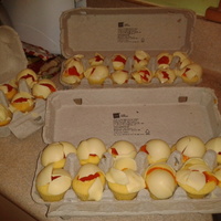 Broken Egg Shell Cupcakes Butter Cake Cupcakes Homemade Orange Flavored Jellies And White Chocolate I Have Been Wanting To Make Those For Broken egg shell cupcakes. Butter cake cupcakes, homemade orange flavored jellies and white chocolate. I have been wanting to make those...