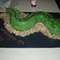 Snake Cake My first attempt at using impression matsI made his for my nephew who was having a reptile handler at his party and he loved it.I wasn'...