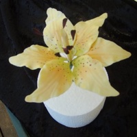 Tigerlily Made in a flower course.My very first tigerlily.Made from coloured gumpaste and highlighted with chalks.TFL
